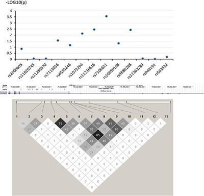 Genetic Overlap Between Attention Deficit/Hyperactivity Disorder and Autism Spectrum Disorder in SHANK2 Gene